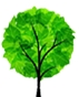 tree.jpg