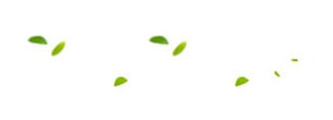 ġ-leaves-2.jpg