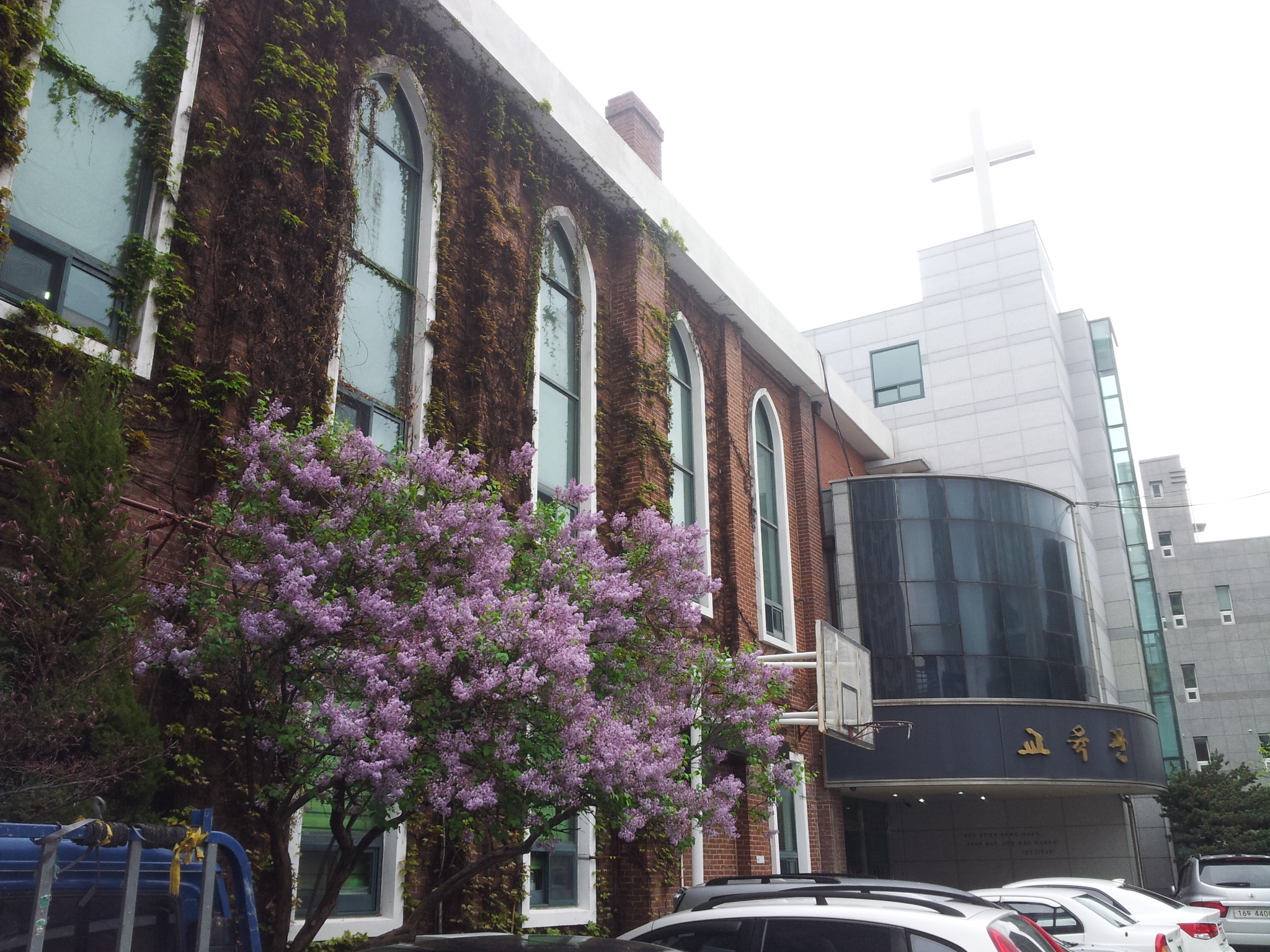 20150407_121816.jpg