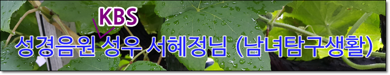 0606-22.png