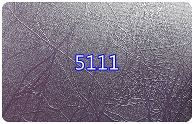5111.jpg