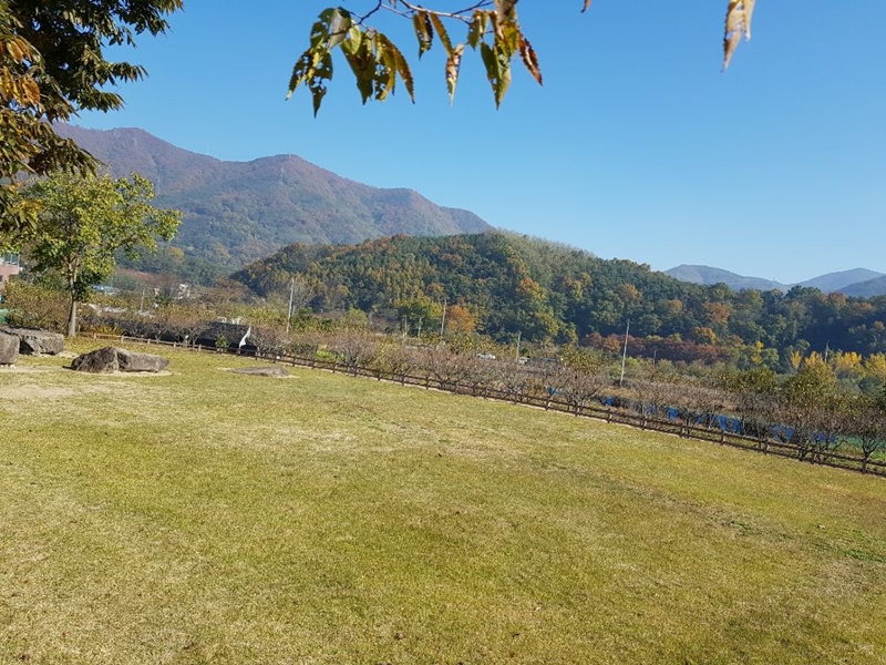 ��ȸ0413.jpg